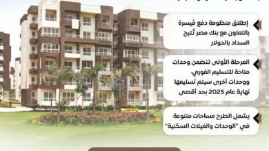 انفوجراف مبادرة بيتك فى مصر